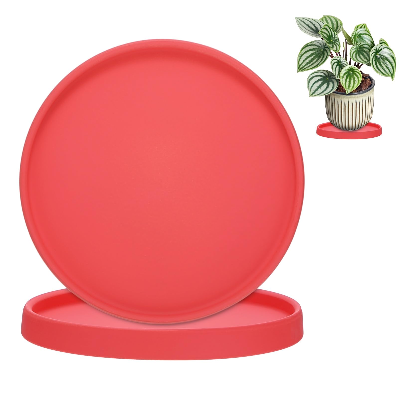 M METERXITY 2-Pack Plant Saucers 7.3 inch ID Ceramic