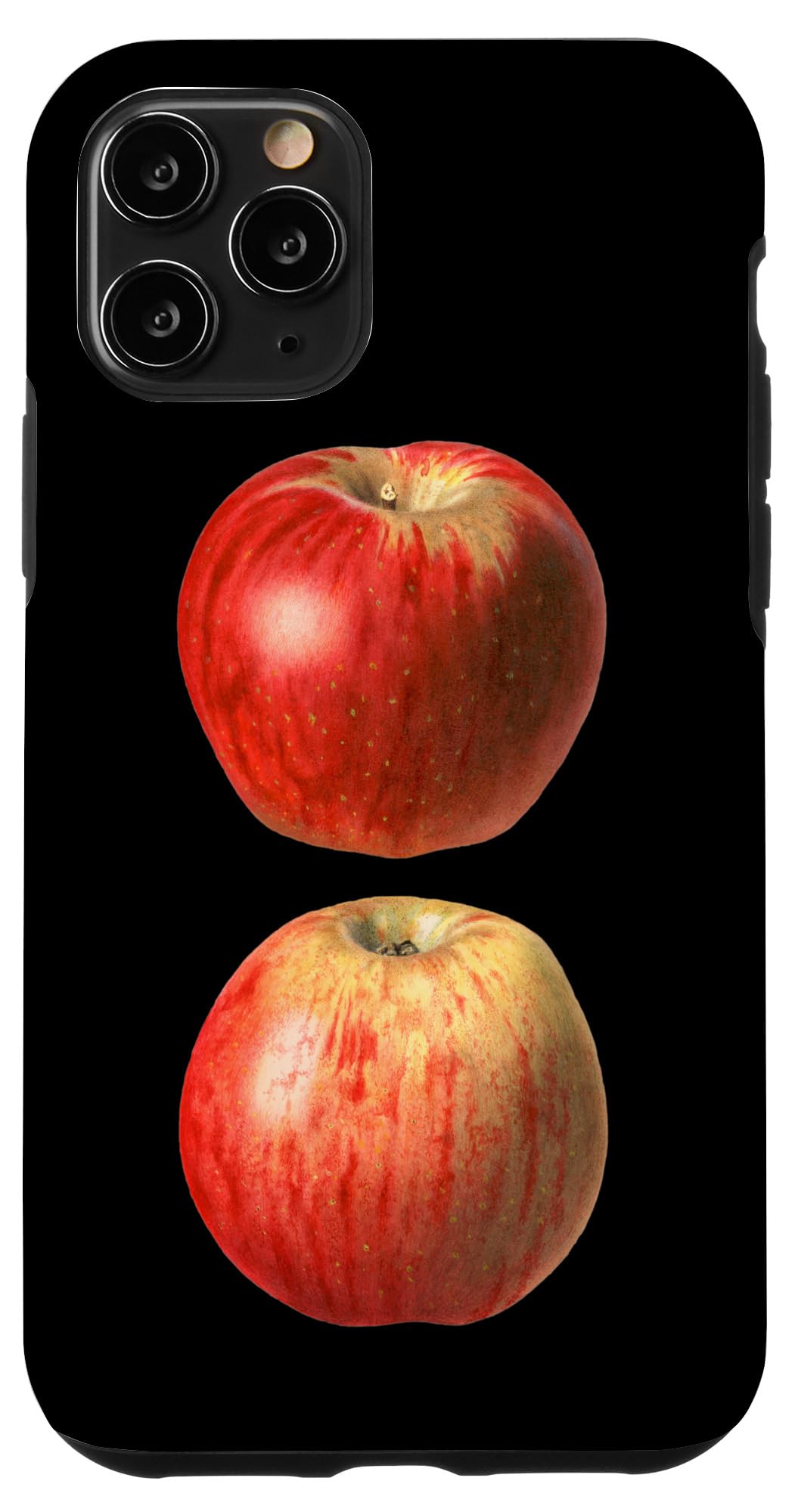 Apple - りんご ringo-green_grande.jpg?v=