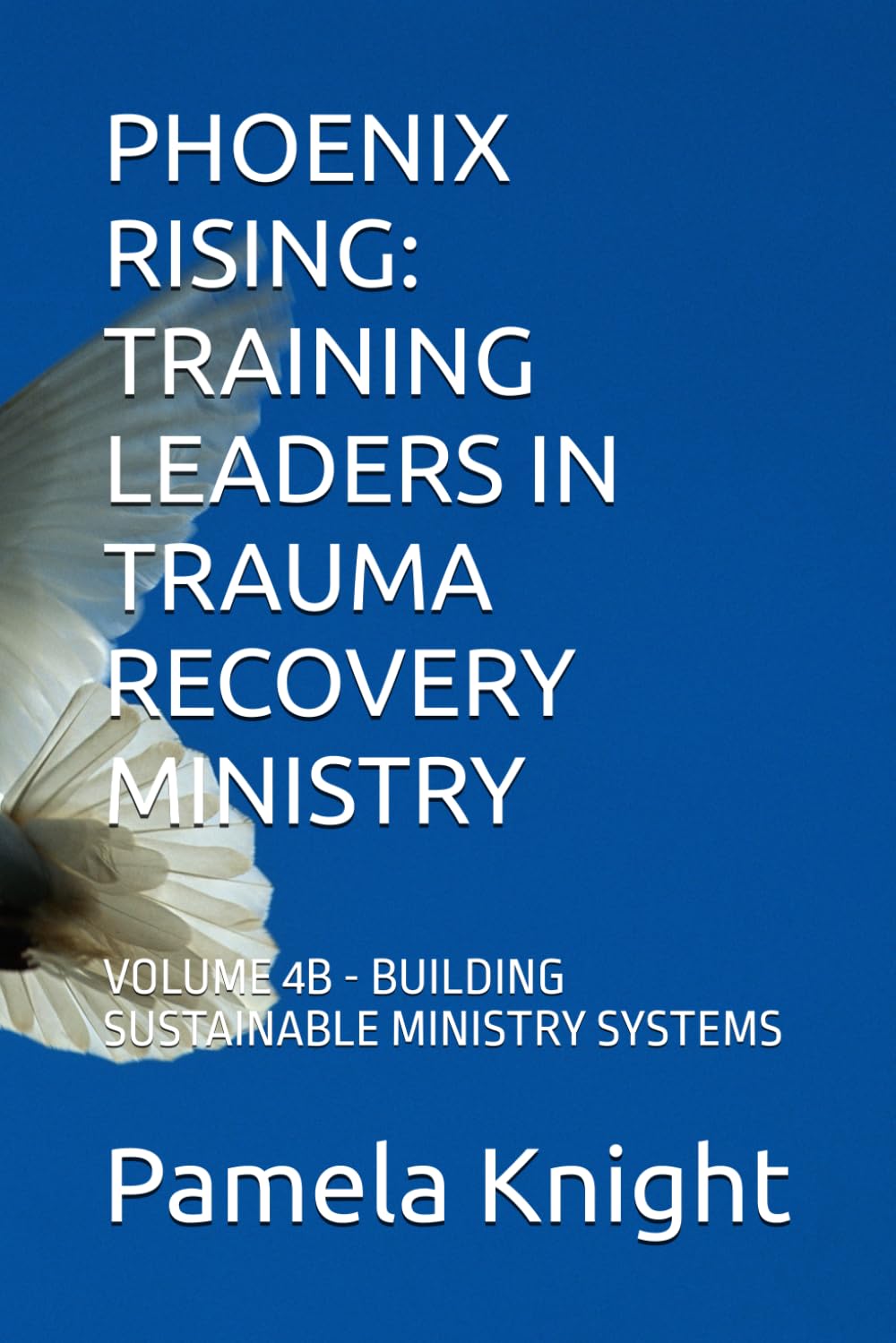 PHOENIX RISING: TRAINING LEADERS IN TRAUMA RECOVERY MINISTRY: VOLUME 4B - BUILDING SUSTAINABLE MINISTRY SYSTEMS
