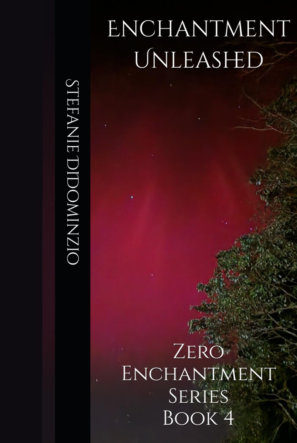 Enchantment Unleashed: Zero Enchantment Series Book 4