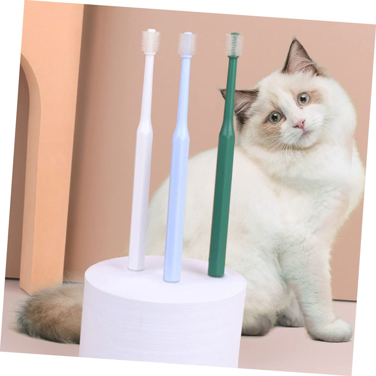 SUPVOX 12pezzi Spazzolino Per Animali Domestici Con Manico Lungo Spazzolini Per Pulizia Orale Di Cani e Gatti Per Igiene Design Ergonomico e Materiali Leggeri Di Pulizia