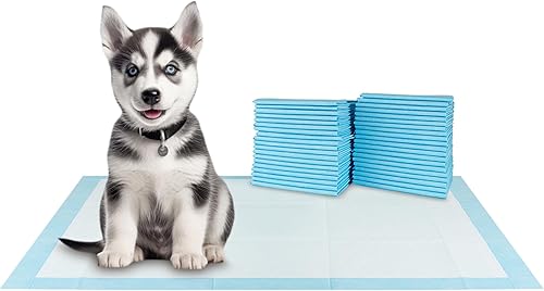 Miniatura 7 de BV Almohadillas XXL para cachorros, tamaño XXL, a prueba de fugas, de 30 x 36 pulgadas 40 unidades, ultra absorbentes, almohadillas para orina de