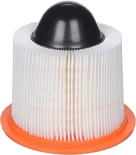 FRAM Extra Guard CA8039 Replacement Engine Air Filter for Select Eldorado, Ford, Lincoln and Winnebago Models, Provides Up to 12 Months or 12,000 Miles Filter Protection