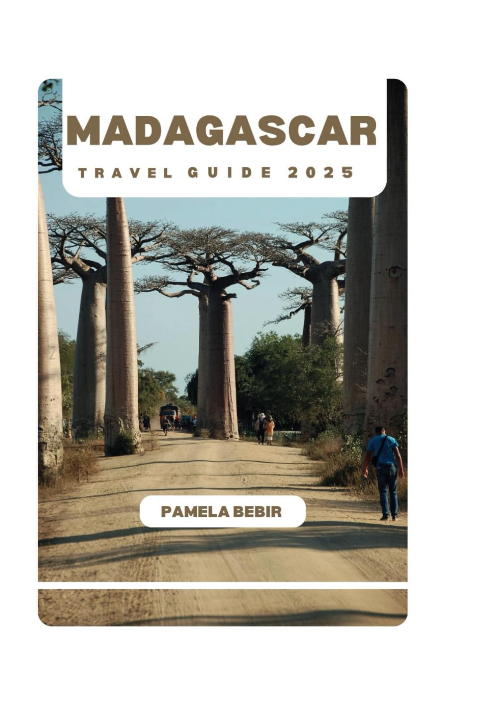 MADAGASCAR TRAVEL GUIDE 2025