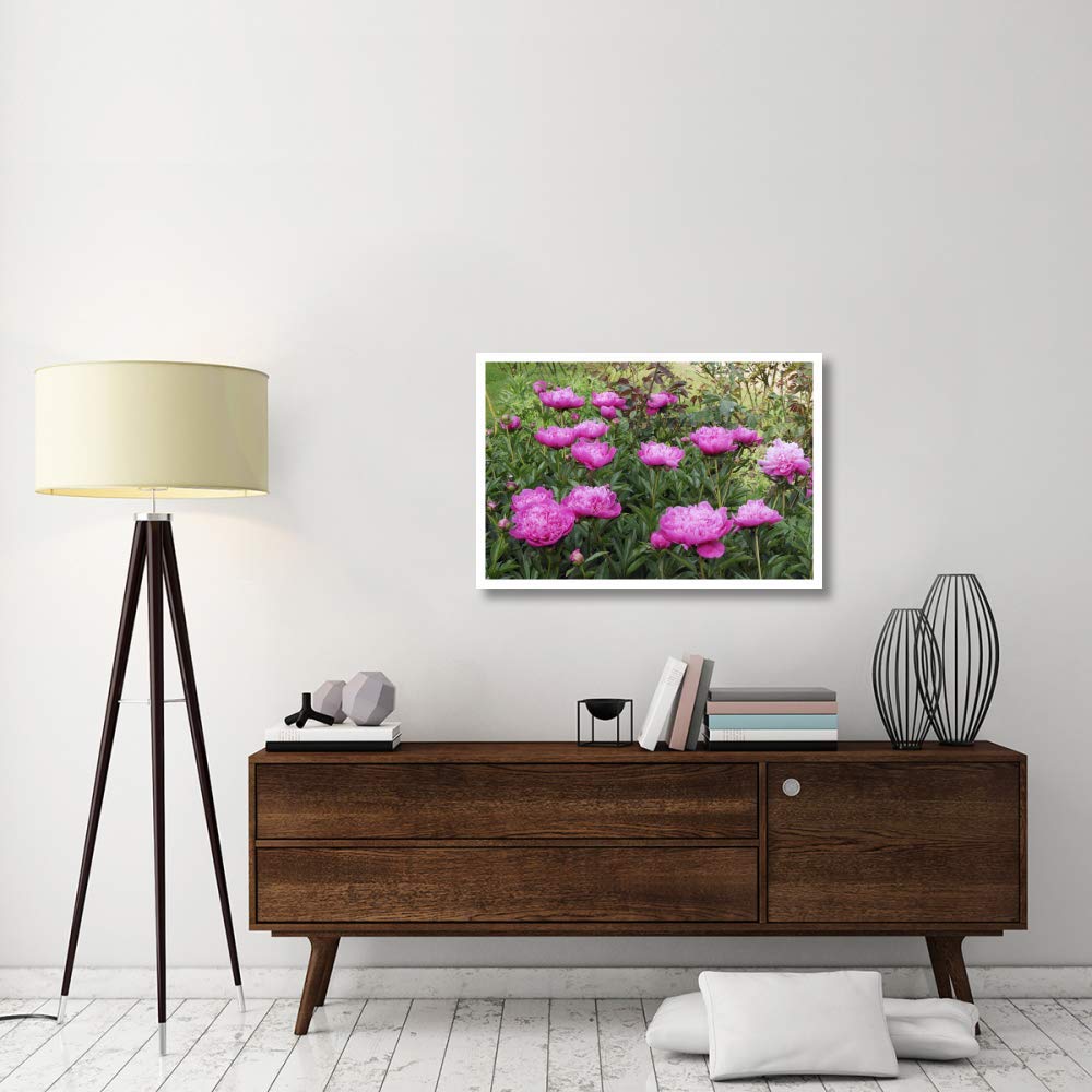 Artworks Italia Fleurs de pivoine Papier Art 96,5 x 66 cm