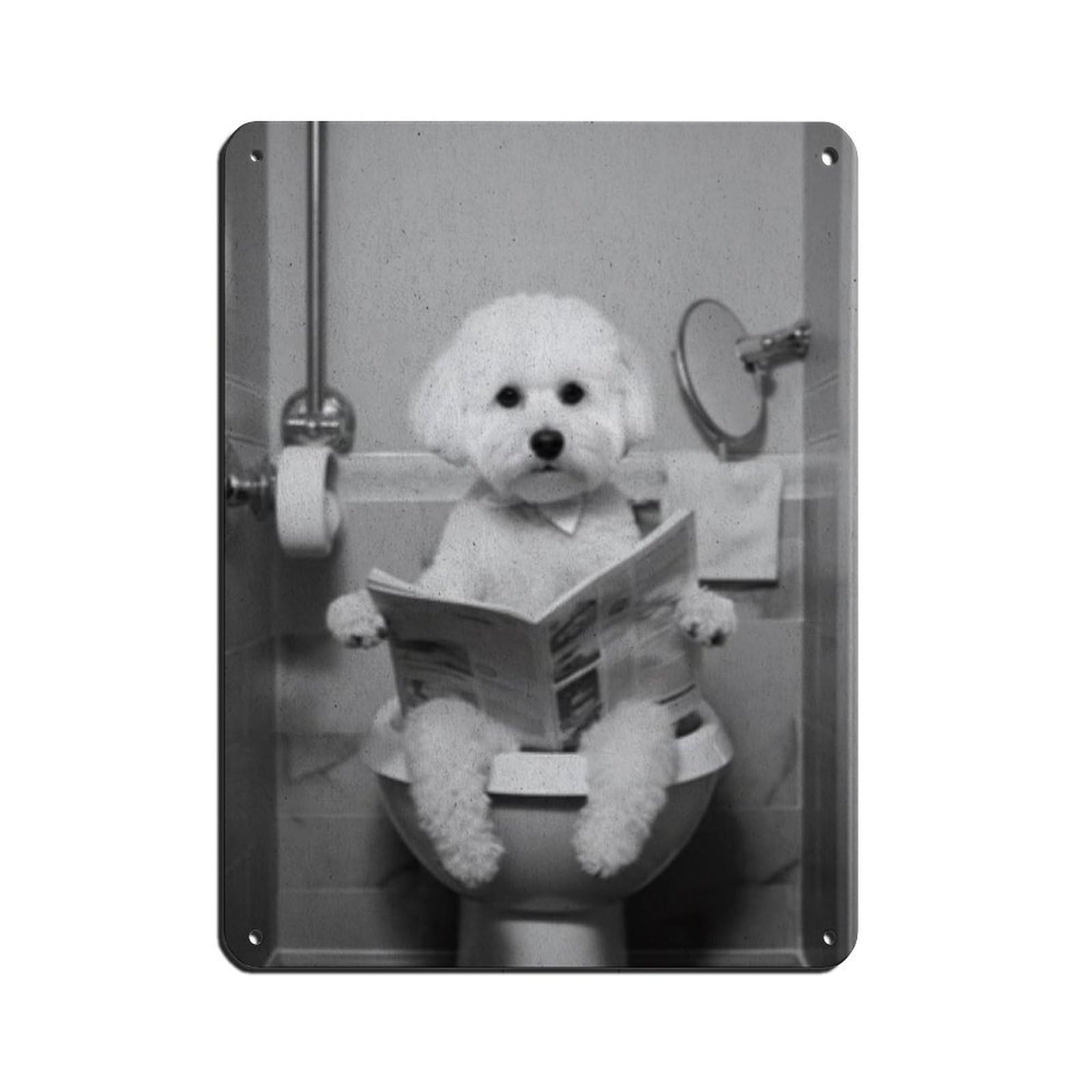 Bichon Frise Art, Funny Bathroom Tin Sign Vintage Metal Pub Club Cafe Bar Home Wall Art Decoration Poster Retro 12x16inch(30x40cm)
