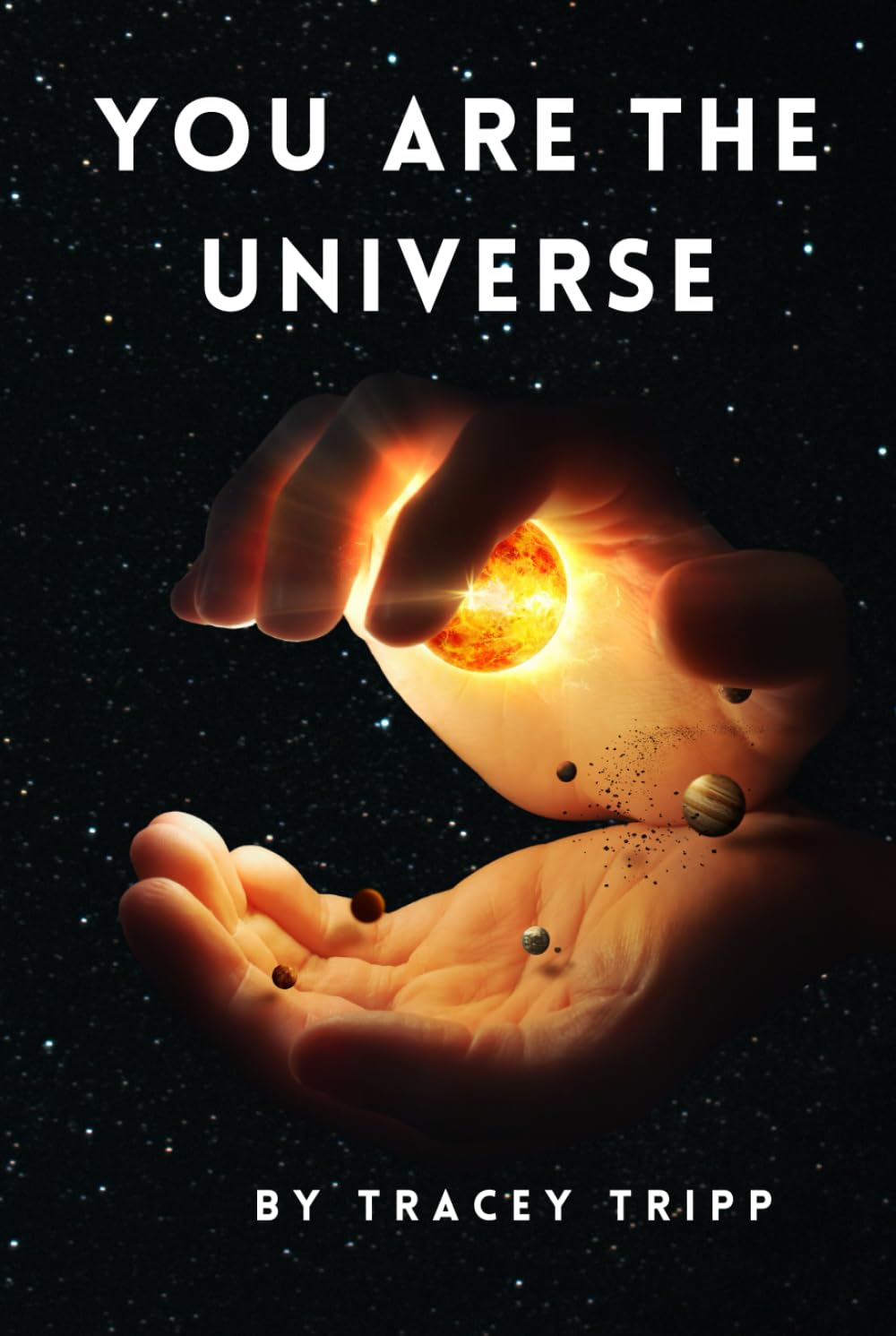 You Are the Universe:: The Consciousness Code Behind Orbs, Manifestation, and Parallel Realities