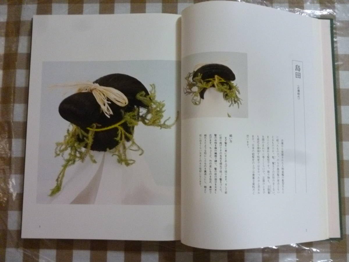 Amazon.co.jp: 日本の髪型 著・南ちゑ : Beauty