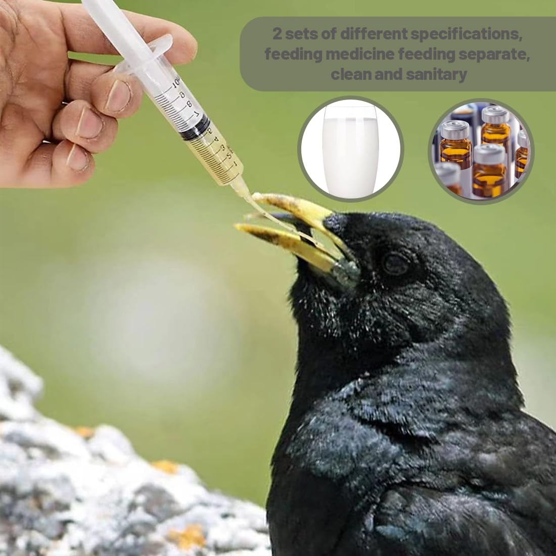 12 Pz Alimentatore Pappagalli, Inclusa 2 Siringa da 10 ml e 20ml, con tubo flessibile da 10 pezzi, Pratico Strumento per Nutrire Pappagalli, Veloce Alimentazione Tubo per Bambino Pet Uccelli
