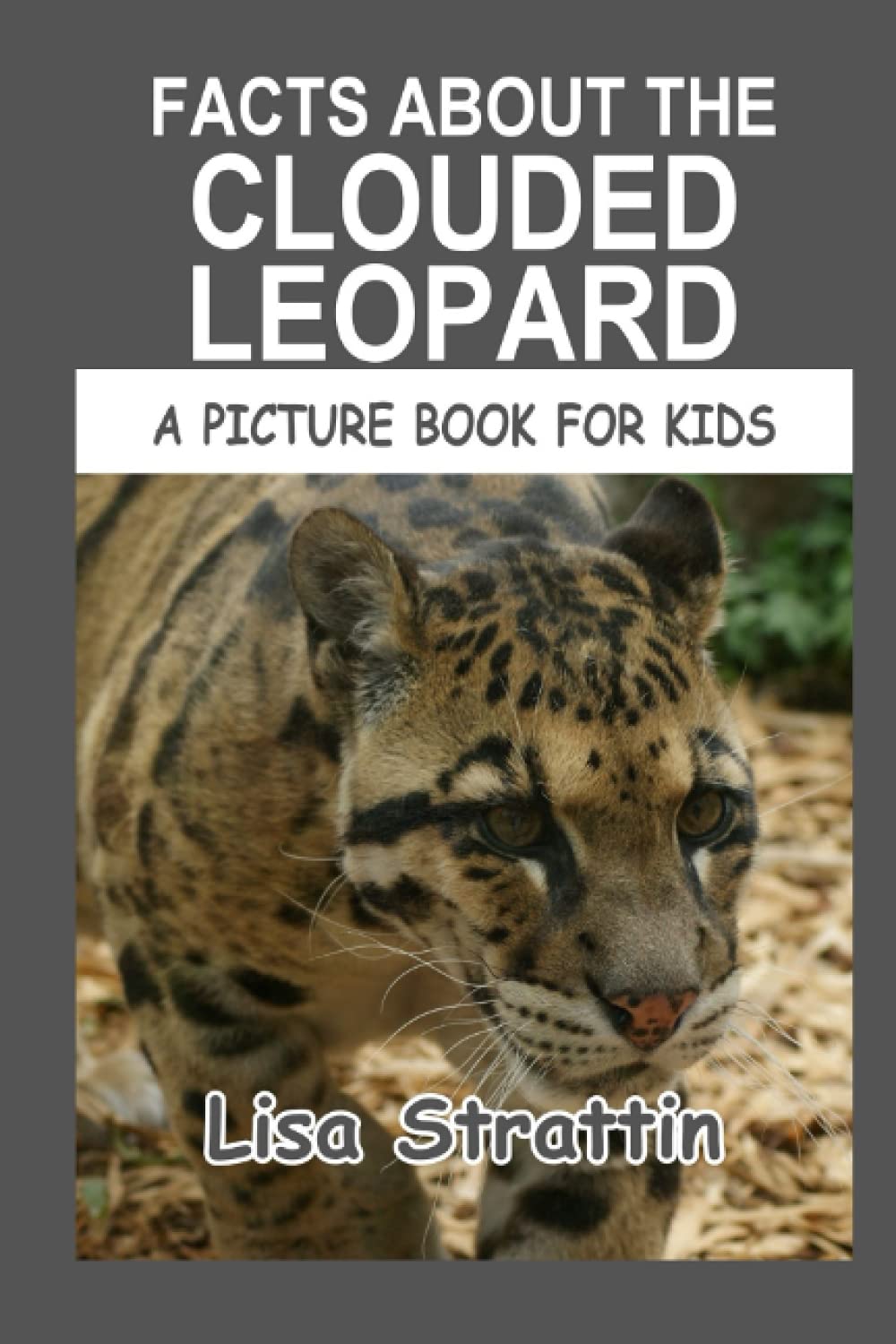 Facts About the Clouded Leopard (A Picture Book For Kids)
