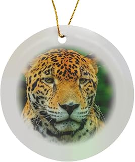 Circle Porcelain Ornament - Jaguar, Panthera onca, Belize Zoo Near Belize City, Belize Belize