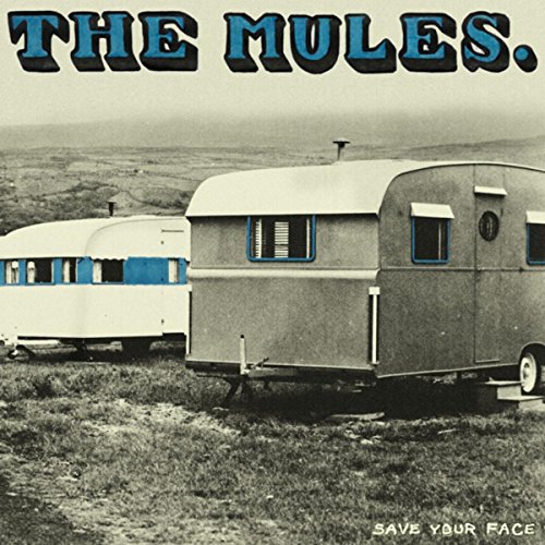 How to cook a ham shank in a slow cooker How to cook a ham shank in a slow cooker