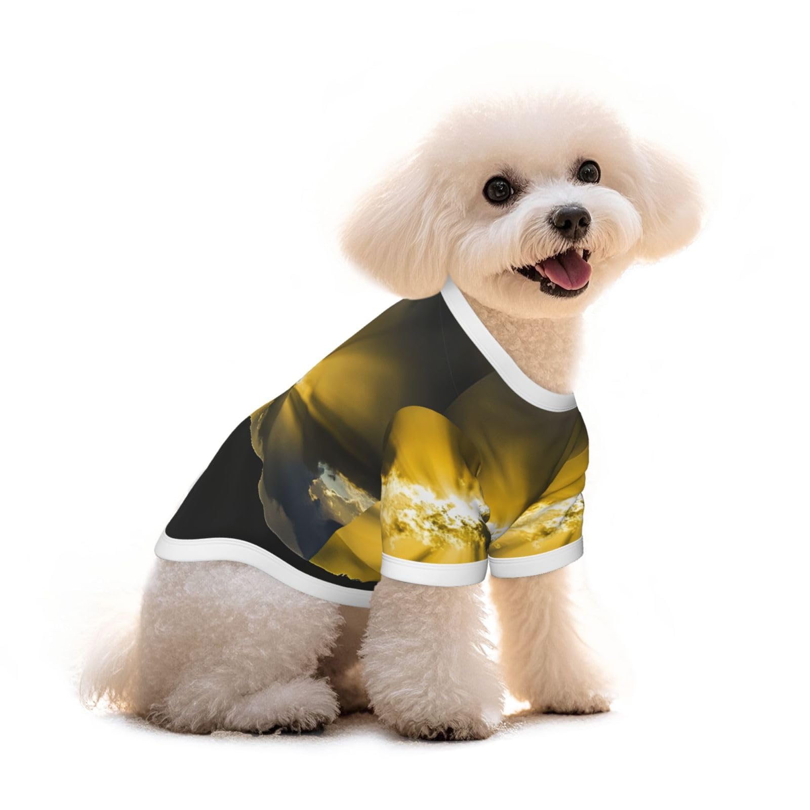 T-shirt en pur coton pour chien respirant et élastique contre la chaleur