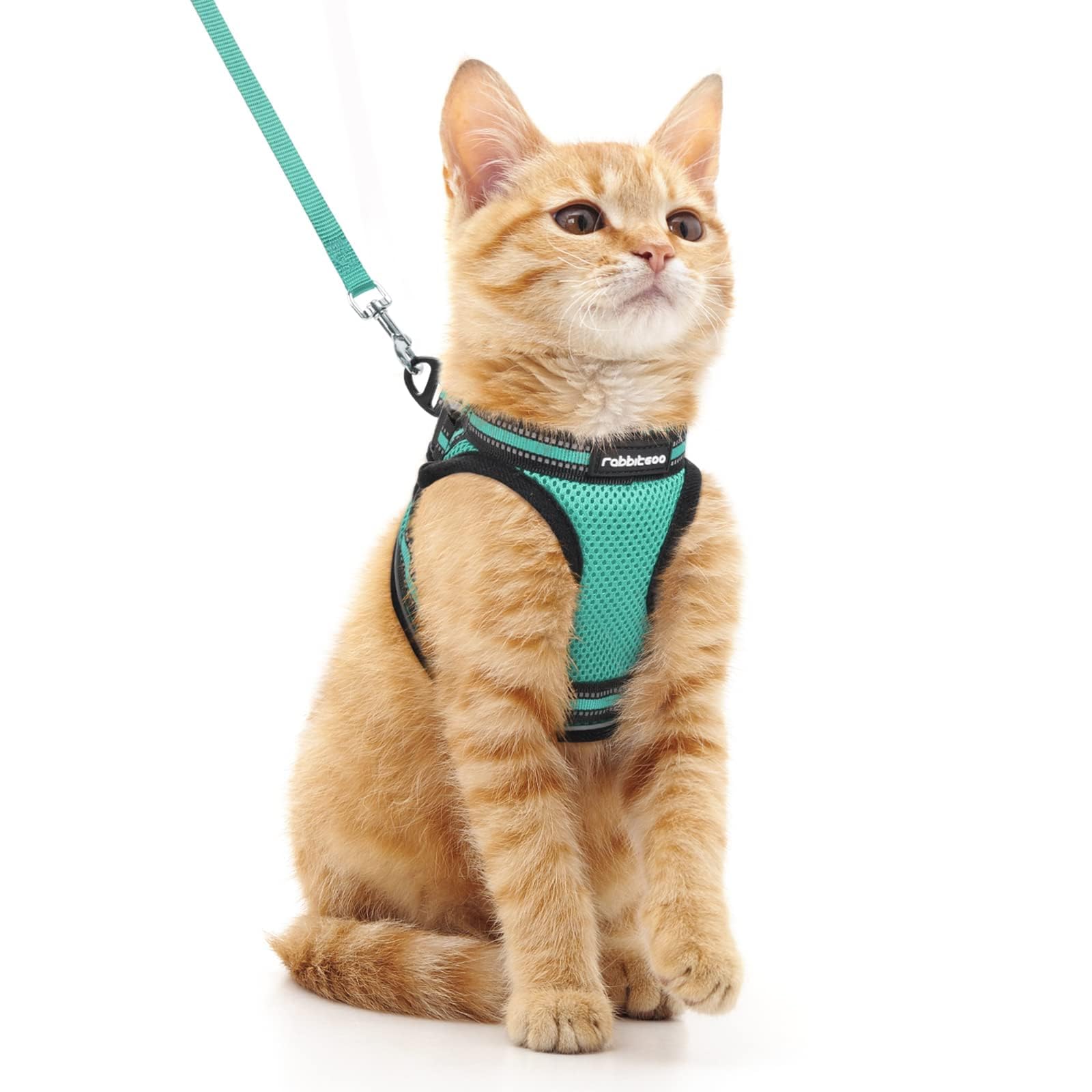 rabbitgoo Cat Harness and Leash Set for Walking Escape Proof, Adjustable Soft Kittens Vest with Reflective Strip for Cats, Comfortable Outdoor Vest, Black, Small — view 17