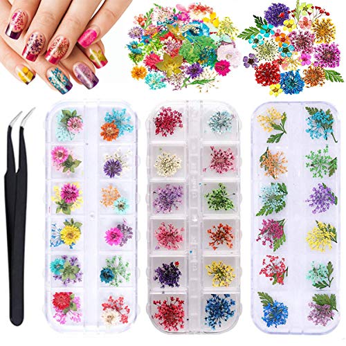 Dried Flowers Nail Art, 3 Boxes 3D Nail Art 36 Colors Dry Flowers Tiny Flowers for Resin Jewelry Real Natural Flowers Nail Decoration Sticker for Tips Manicure Decor Gypsophila Flowers Leaves