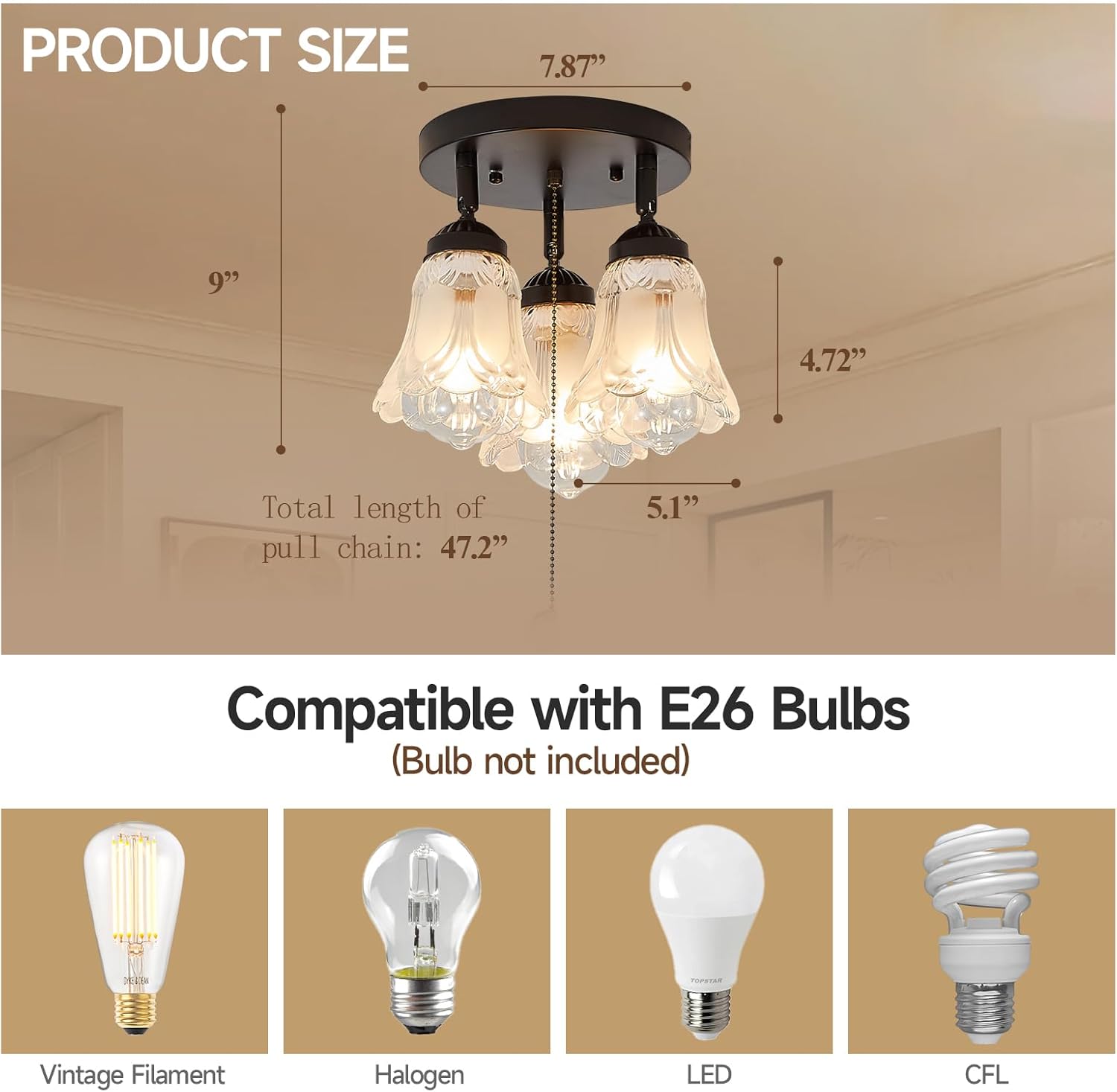 3-Light Flush Mount Ceiling Light with Pull Chain Clear and Frosted Glass Low Profile Lighting Fixtures for Kitchen Living Room Dining Room Closet, Black