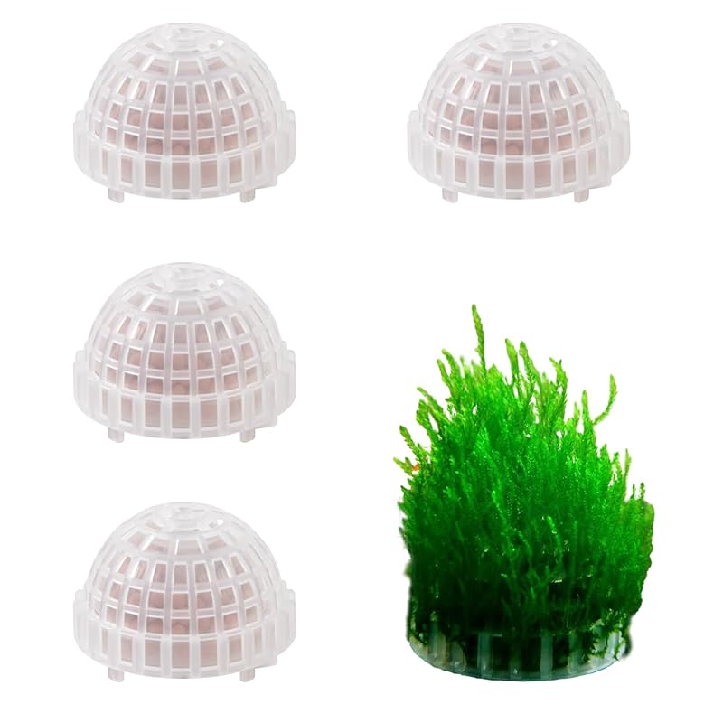 Suporte Redondo para Musgo em Aquário de Plástico Transparente ASUNFO AF01026, 4 Unidades