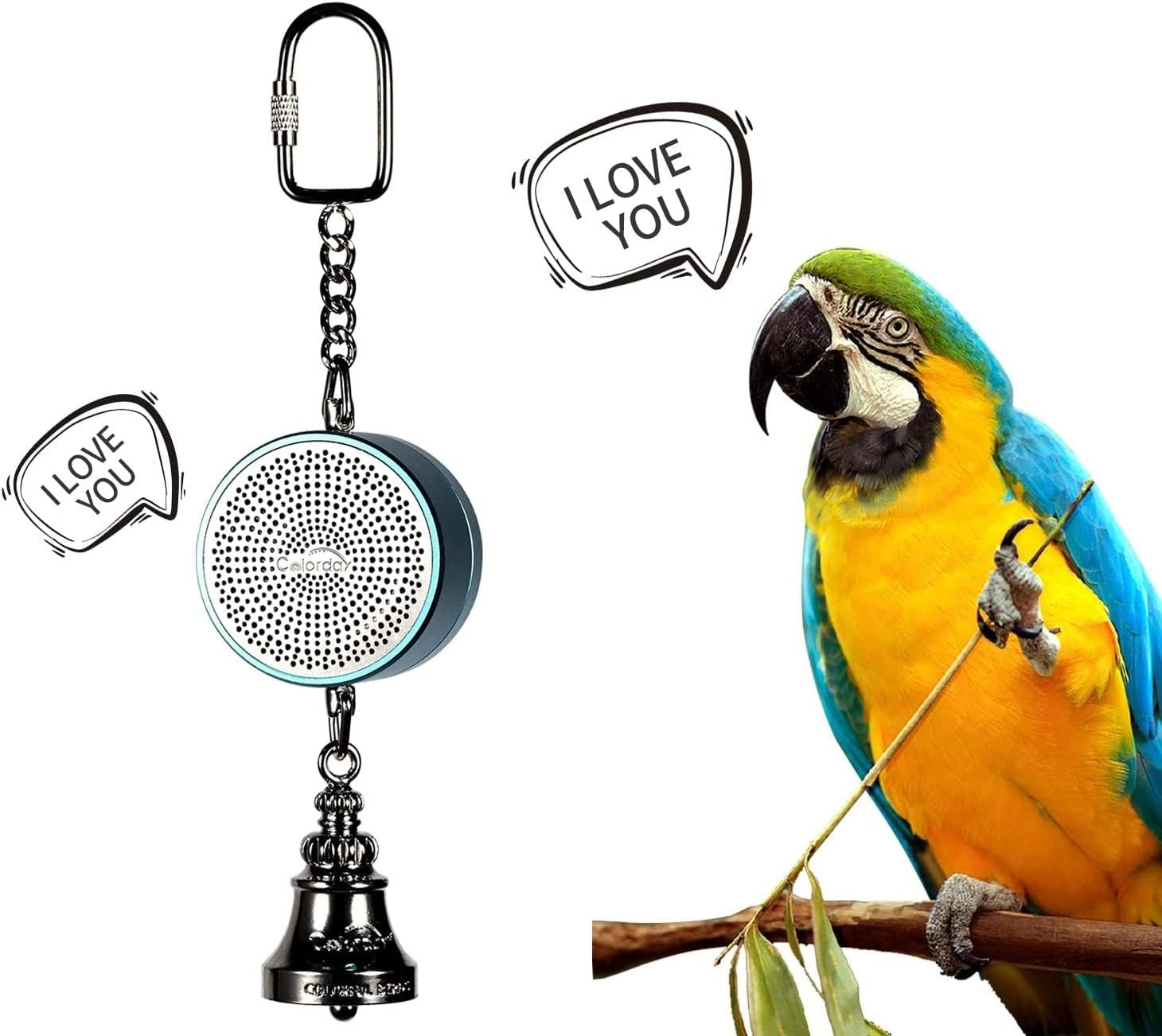 Colordaybird Toys Parrot Talking Coach And Interactive Voice Bell