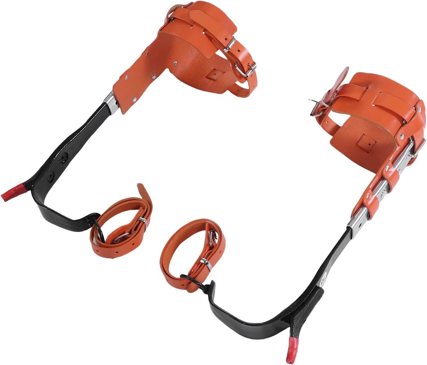 Haofy Tree Climbing Gear Adjustable Height Spurs, Premium Cowhide Leather Leggings with Carbon Steel Spikes for Trimming Logging Fruit Picking Outdoor Adventures, 260lb Weight Capacity