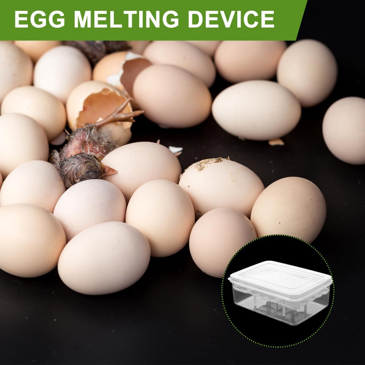 Balacoo 4 Pcs 16-Grid Reptile Breeding Box, Professional Clear Egg Incubator Tray, Plastic Breeder Box for Gecko, Lizard &Amp; Mane Hatching