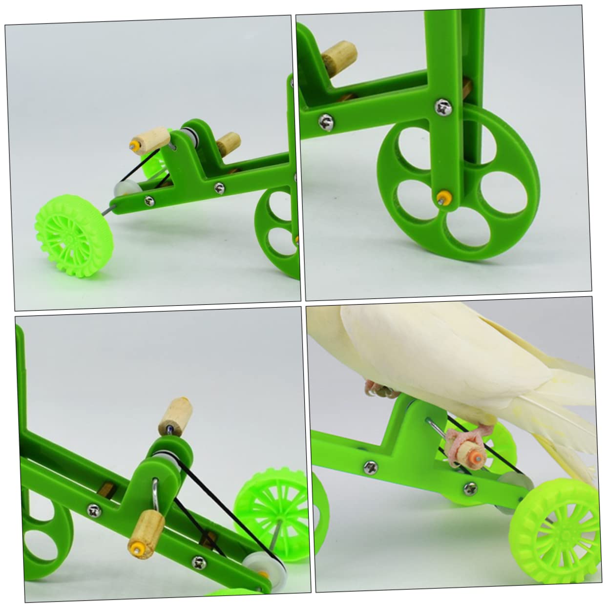 BESPORTBLE 3pezzi Gioco Per Pappagalli Su Bicicletta Giocattolo Divertente Per Addestramento e Gioco Quotidiano Bicicletta Verde