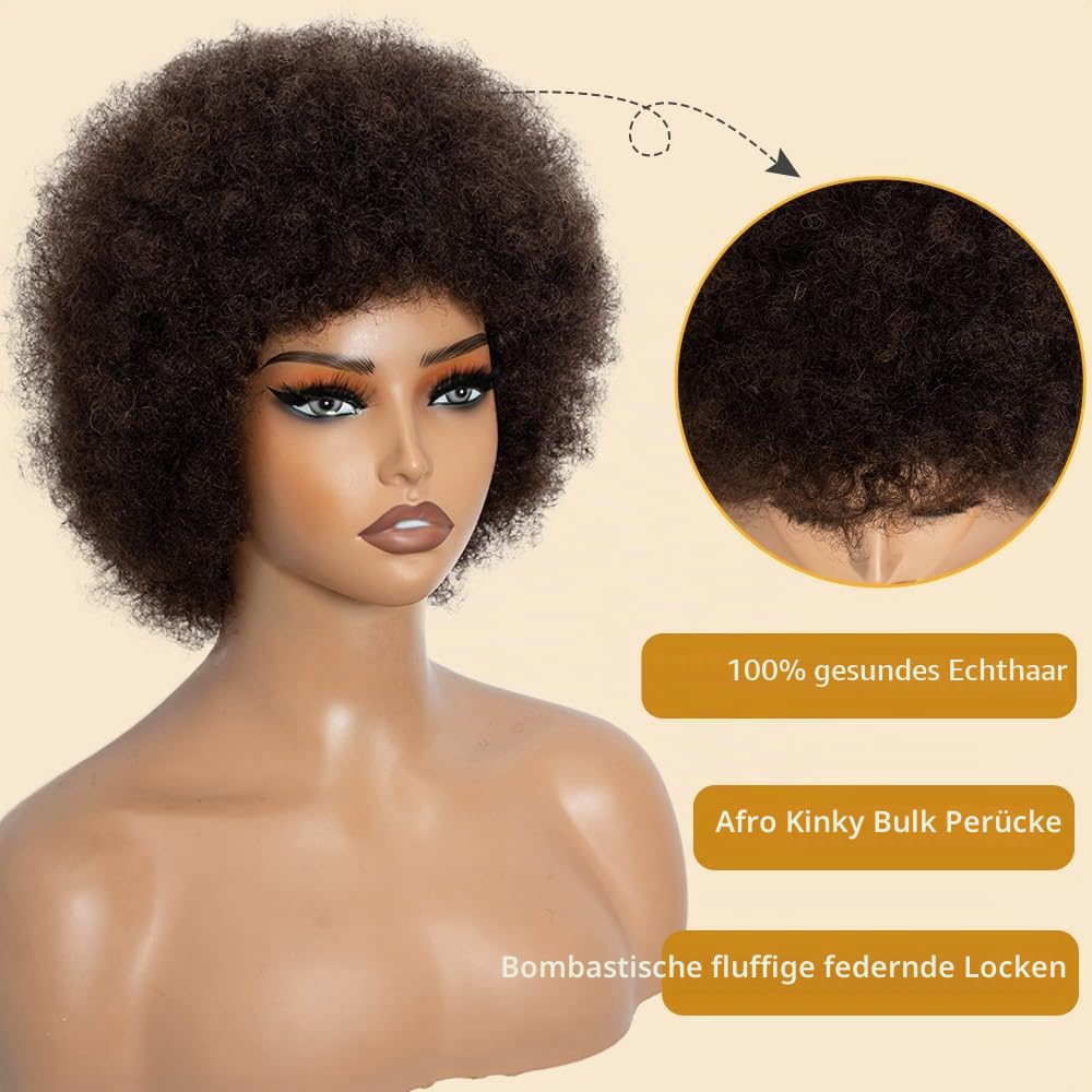 Afro Echthaar Perücke Damen Human Hair Wigs for Black Women Kinky Curly Short Glueless Wig (2, 10 inches)