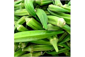 Emerald Okra Seeds for Thrilling Indian Cuisine
