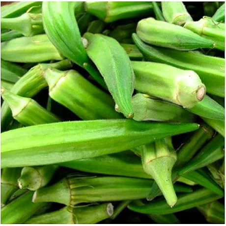Emerald Okra Seeds for Thrilling Indian Cuisine