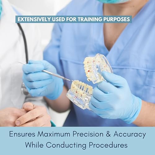 Miniatura 5 de Herramienta dental profesional para el cuidado bucal, eliminación de placa de acero inoxidable EXP #5 raspador de dientes, raspador de dientes