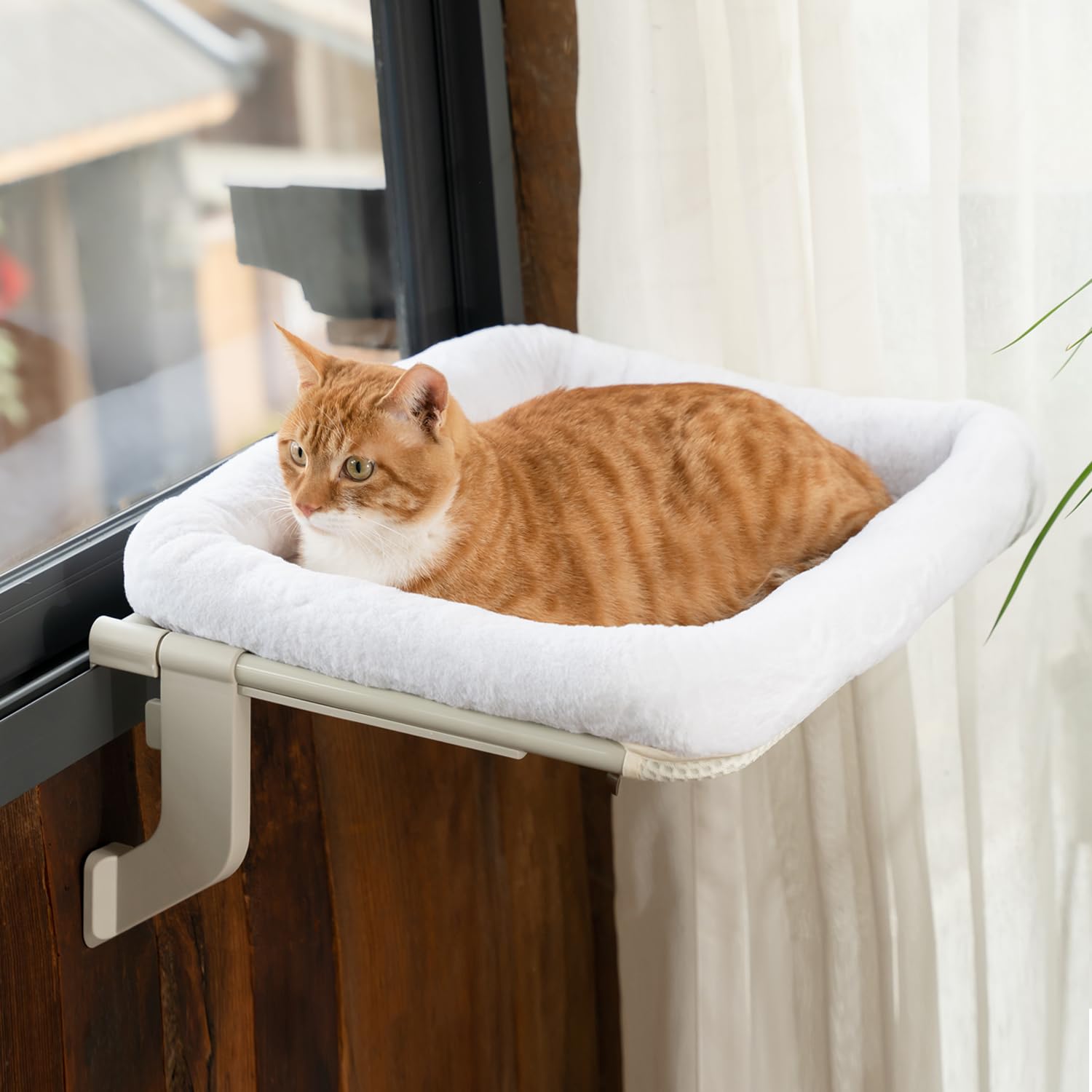 YeeLok Window Sill Cat Perch with Large Bolster, Strong Metal Frame, Tool-Free, Easy to Assemble & Adjust, Suction Cups, Perfect for Window Sills,