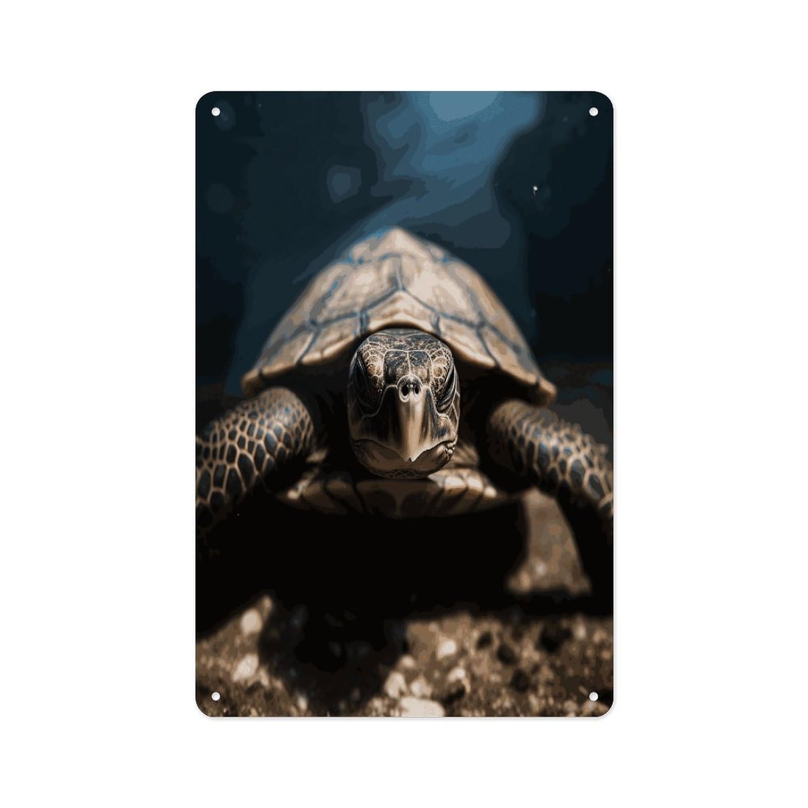 Fekiloot Style Animal Tortoise Wall Decor Metal Signs Tin Signs Poster
