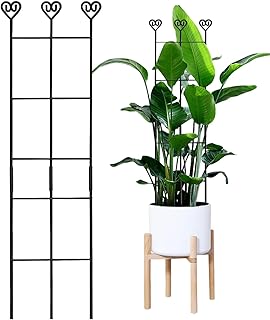 観葉植物 トレリス 室内用 | 高さ調節可能 防錆仕様 支柱,高さ約83cmの室内用つる植物トレリス | ポトス、アイビー、クレマチス、フィロデンドロン向け、バルコニー、ウェディング、パーティー、ガーデン、ヤード、屋外用