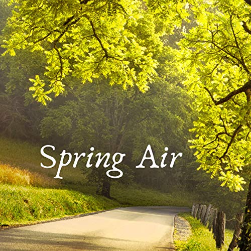 Spring Air Music Play Spring Air by Relaxing Rain Library on Amazon Music