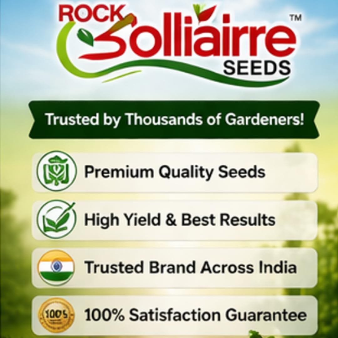 Saphirre Seeds Compatible Brand Rock Sollitairre Vegetable Seeds Combo Pack | 260+ Seeds | 6 Varieties | Cherry Tomato, Broccoli, Capsicum, White Brinjal, Red Ball Radish & Zucchini | High Germination 4