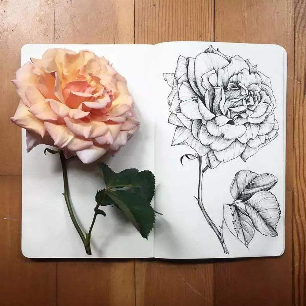 Fyess 3Pack A5 Kraft Cover Blank 100g Full Wood Paper Sketch Book,120Sheets / 240 Pages,350gsm Kraft Paper Cover,Hardcover Bound Sketch Notebook for Drawing, Writing and Journal Refills(5.8x8.25 Inch) : Arts, Crafts & Sewing