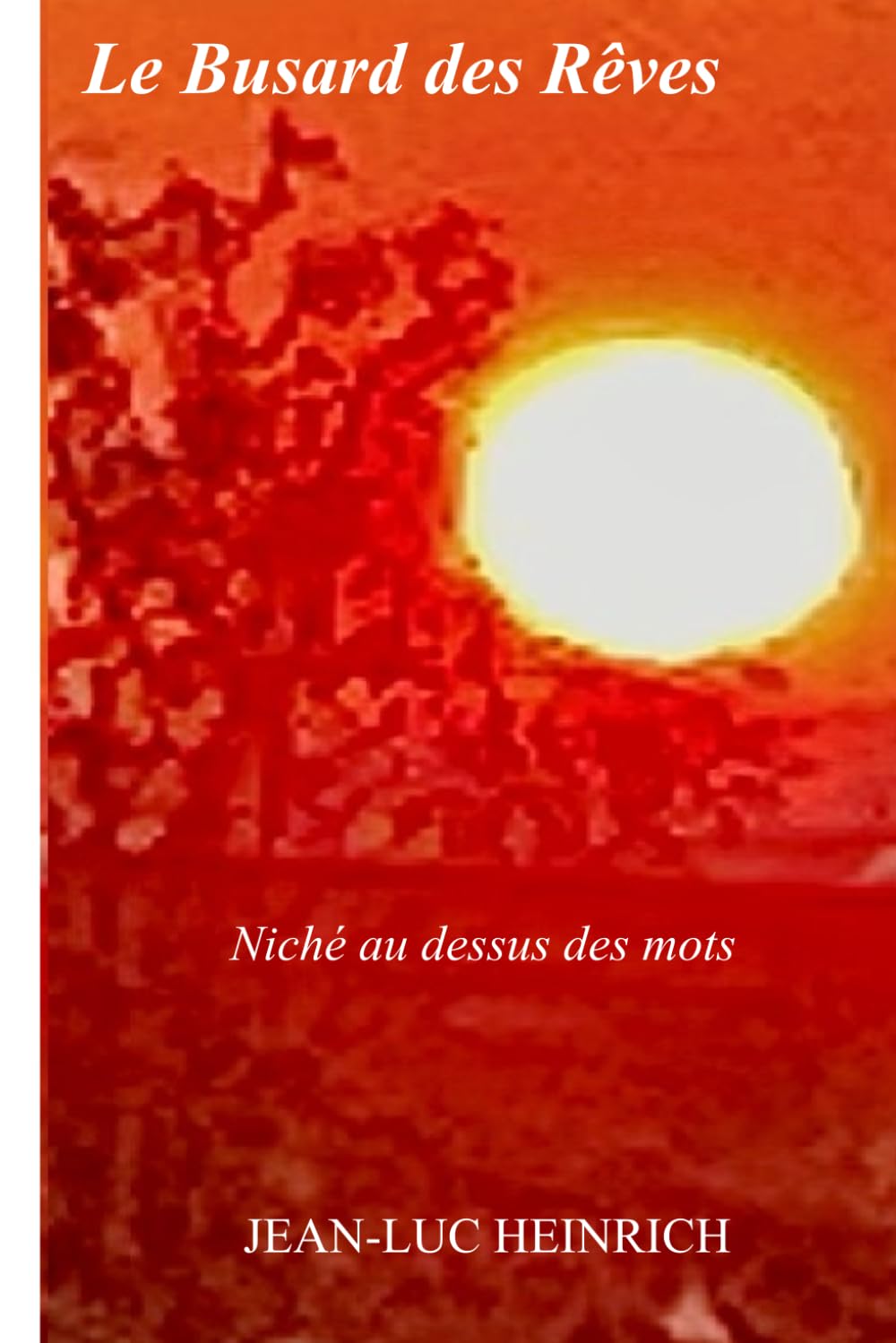 Le Busard des Rêves: Niché au dessus des mots