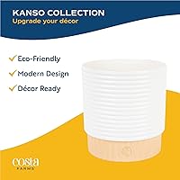 Vista 7 de Costa Farms - Planta de la serpiente viva de interior de fácil cuidado en maceta de jardín, elección del cultivador, mezcla de tierra, regalo