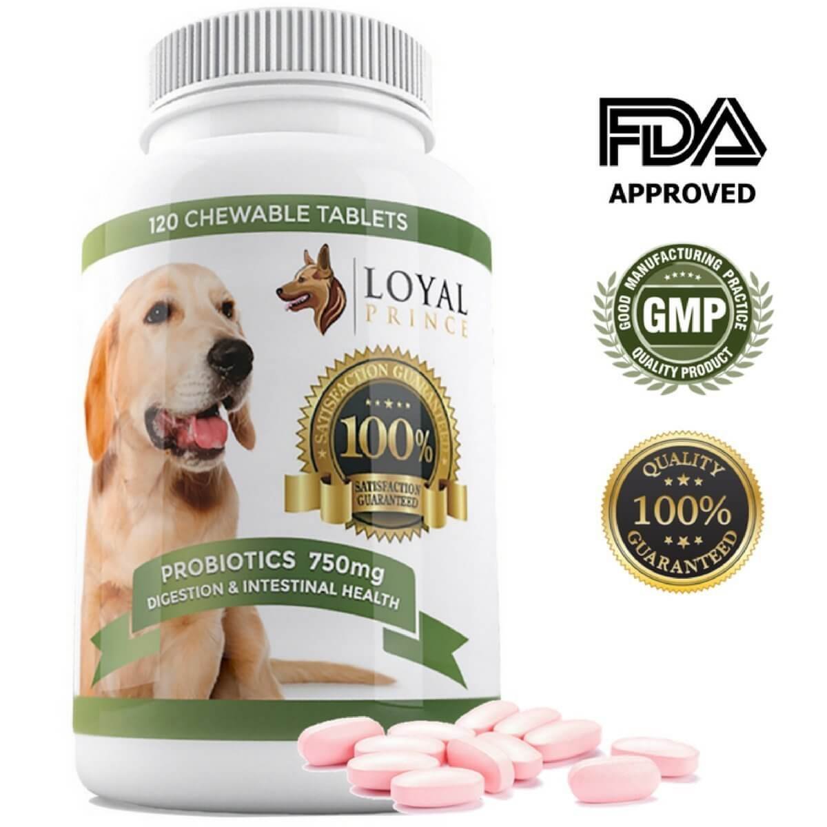 Probiotics For Dogs Digestive Enzymes for Diarrhea & Yeast infection - Canine Probiotics Immune System Protects Sensitive Dog Stomach & Hip and Joint - Fortiflora Supplement For Small & Large dogs