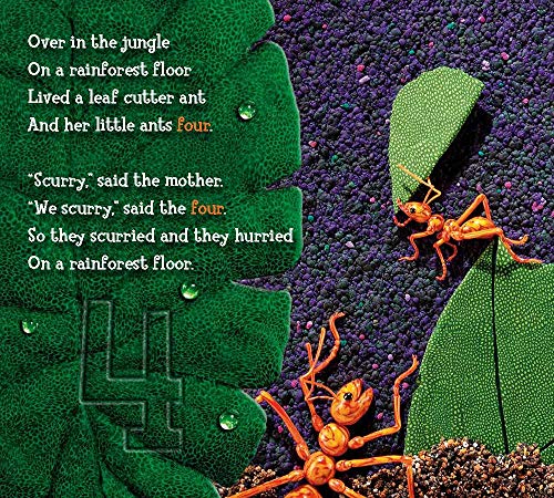 Over in the Jungle: A Rainforest Rhyme - Image 9