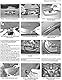 Citroen C4 Owners Workshop Manual: 04-10