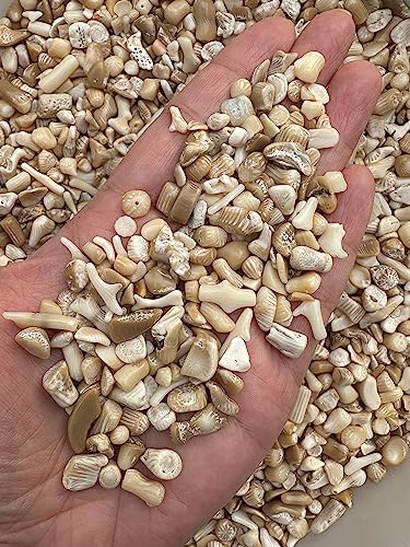 Image of 2 oz Lot Natural Semi Tumbled Gemstone Chips, Crushed Mini Crystals, Undrilled Crystal Chips (White Bamboo Coral)