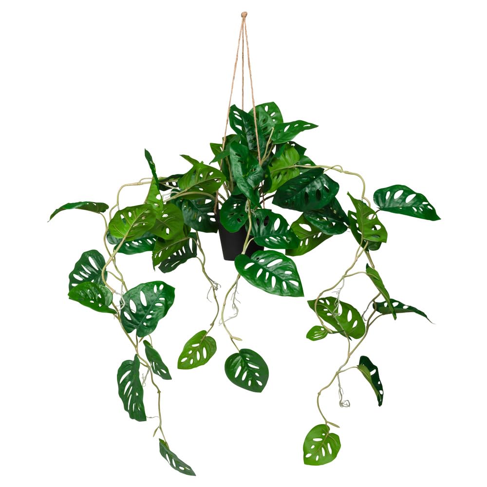hjh OFFICE Künstliche Hängepflanze im Topf 100cm Monstera Climb Künstliche Pflanze hängend, exotische Kunstpflanze Monstera