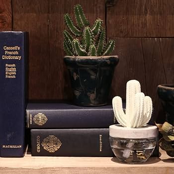 Amazon.co.jp: ダルトン(Dulton) フレグランス ディフューザー