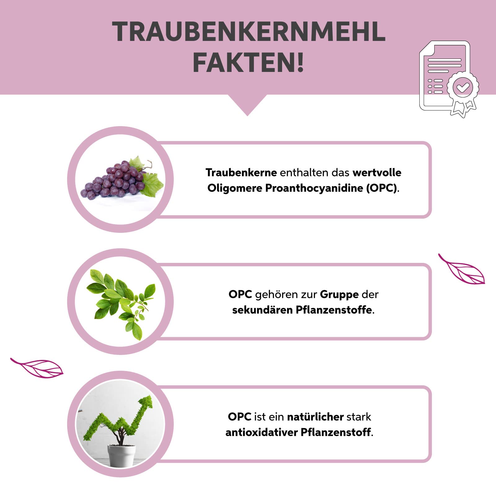 Bio Traubenkernmehl OPC 1kg Traubenkern Extrakt Pulver Premium Rohkost Qualität | Traubenkerne aus der EU | DE-ÖKO-007