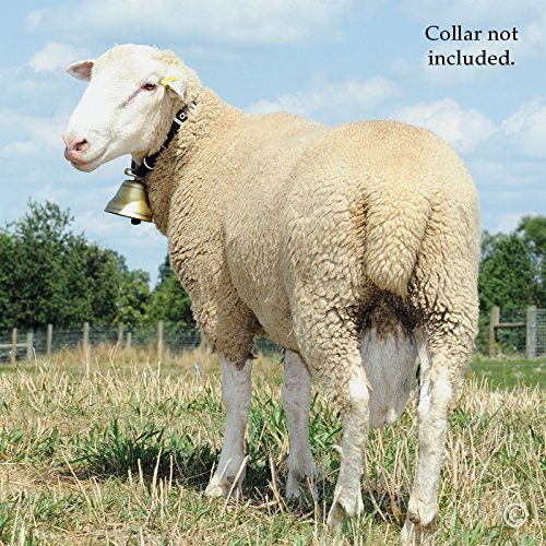 Premier 1 Ram & Sheep Livestock Bell