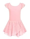 Girls Ruffle Sleeve Ballet Dance Dress Tutu Skirted Leotard
