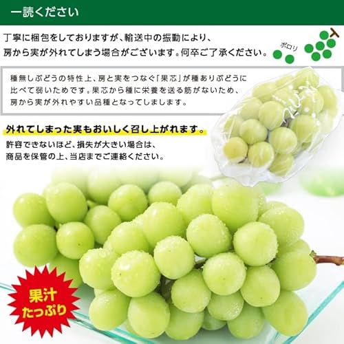 山下屋荘介 長野 山梨県産 シャインマスカット 秀品 (2房 / 約1kg / 常温) の商品画像 5