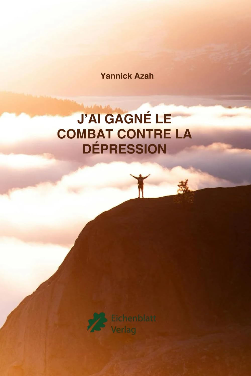 J'ai gagné le combat contre le dépression (Les victoires invisibles)
