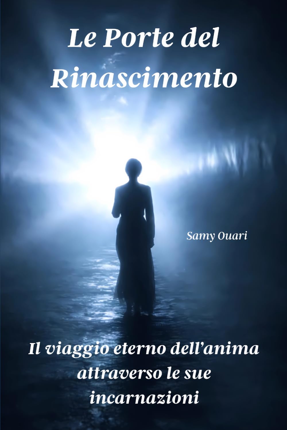 Le Porte del Rinascimento: Il viaggio eterno dell’anima attraverso le sue incarnazioni (L’ANIMA IN LUCE)