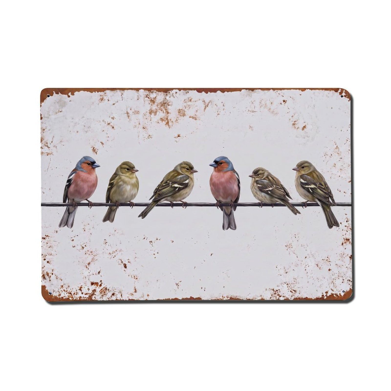 Vintage Retro Birds Chaffinch Metal Tin Sign